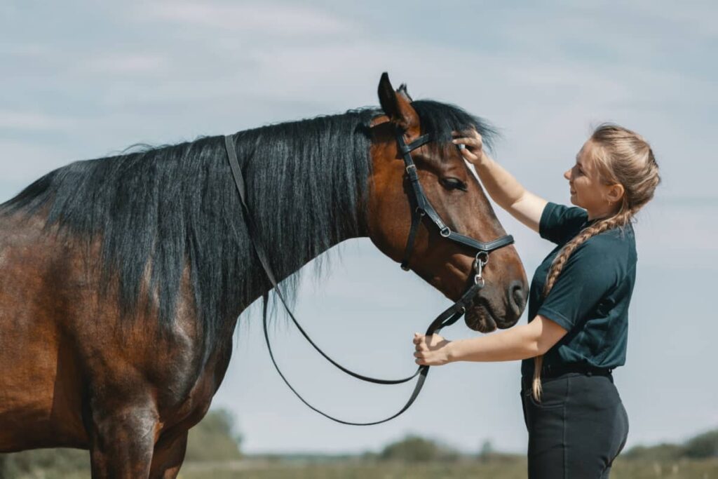 Cómo conseguir más clientes como entrenador de caballos online